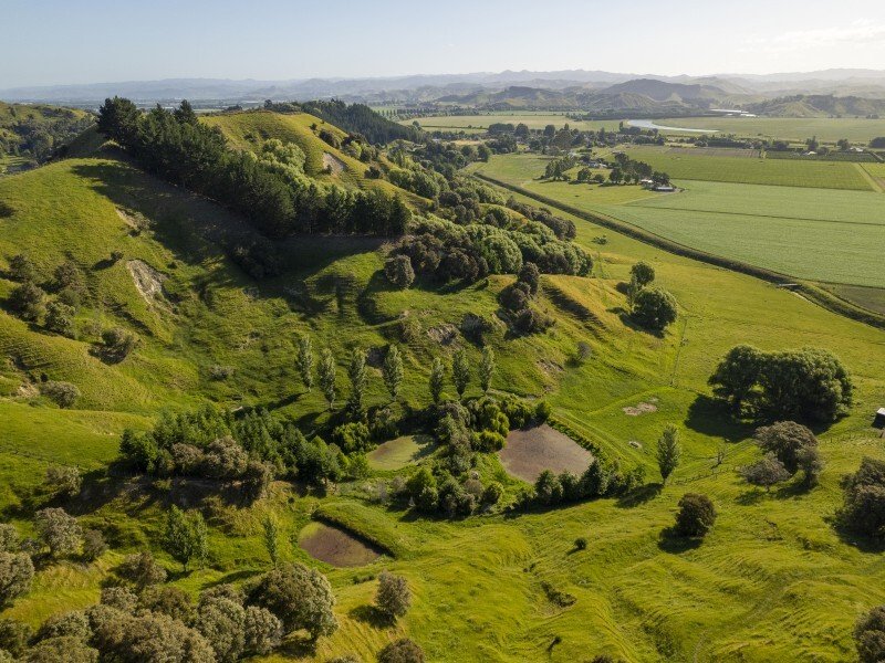 Country House in Ormond, Gisborne, New Zealand 3 - 17638689