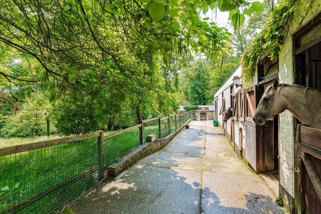House in La Hulpe, Wallonia, Belgium 4 - 15401740