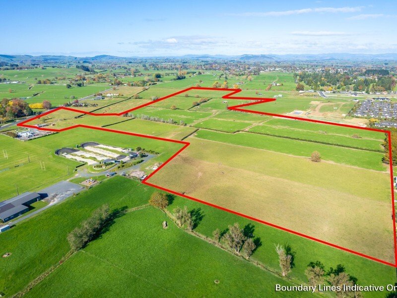 Landhaus in Te Awamutu, Waikato District, Neuseeland 2 - 17637954
