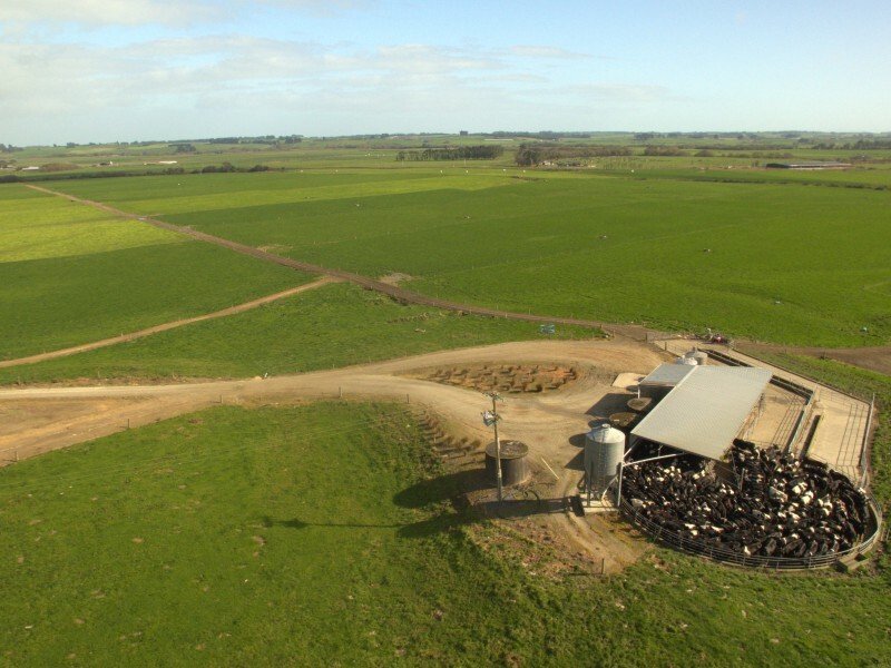 Country House in Mataura Island, Southland, New Zealand 3 - 17637810