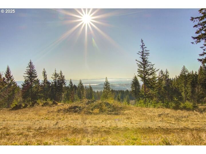 Haus in Camas, Washington, Vereinigte Staaten 4 - 17635450