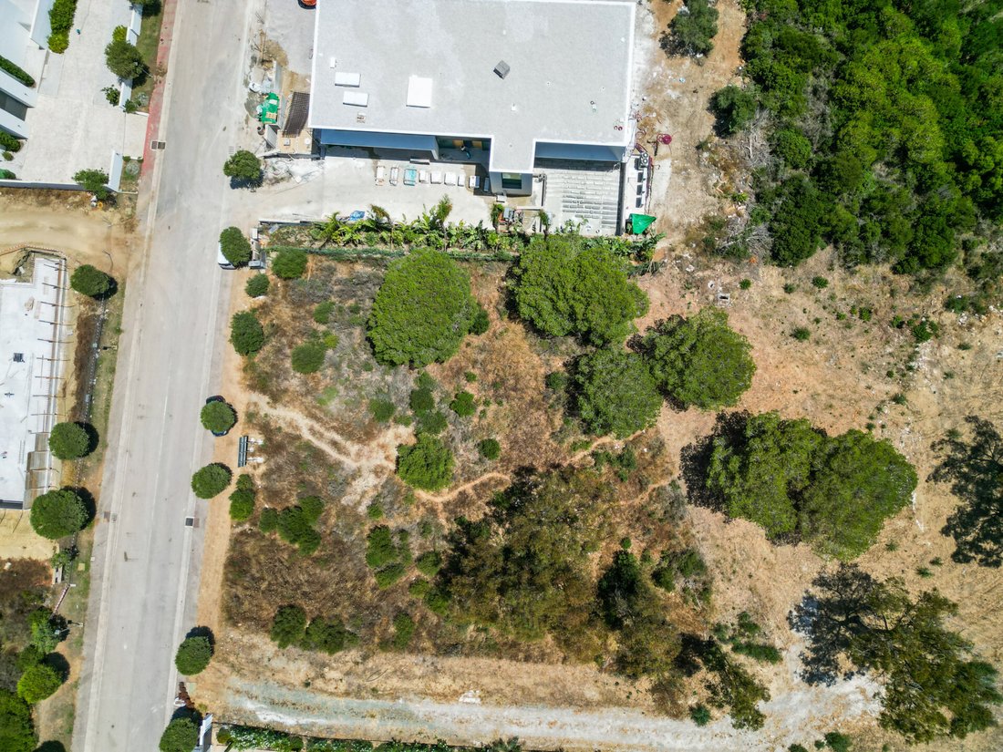 Terreno en Sotogrande, San Roque, Andalucía 3 - 17636910