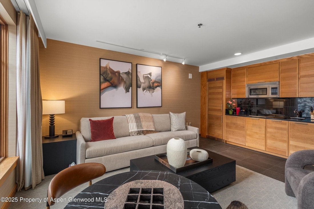 House in Aspen, Colorado, United States 3 - 15766283