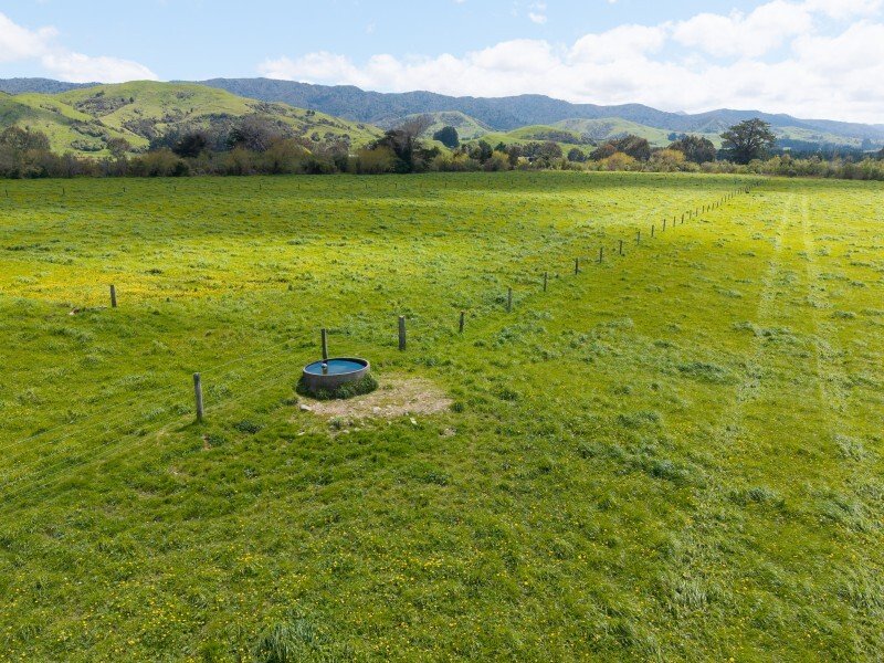 Country House in Eketāhuna, Manawatu-Wanganui, New Zealand 3 - 17639030