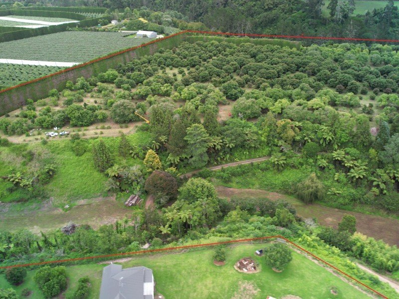 Country House in Te Puke, Bay of Plenty, New Zealand 5 - 17637523