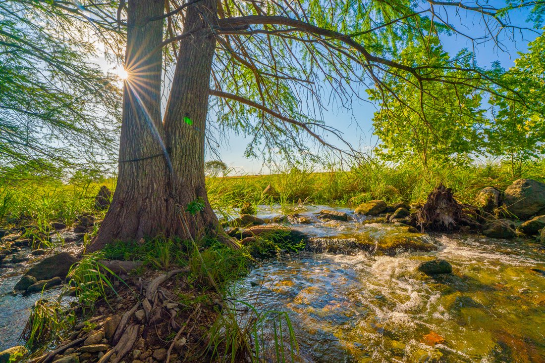 Farm Ranch in Boerne, Texas, United States 1 - 17638116