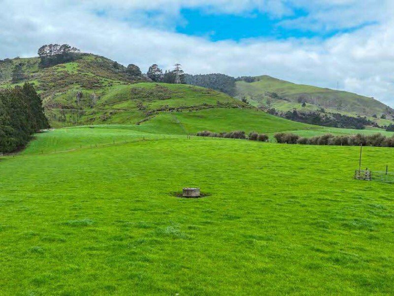 Country House in Karangahake, Waikato, New Zealand 5 - 17637995