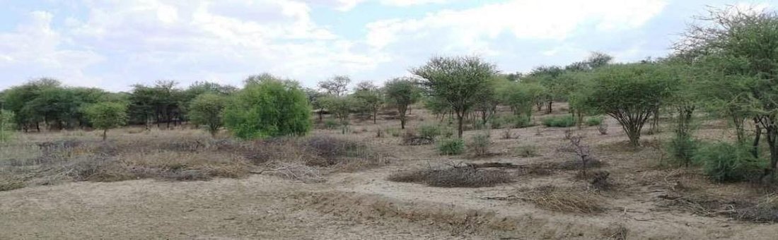 Corps de ferme à Windhoek, Khomas Region, Namibie 3 - 17628174