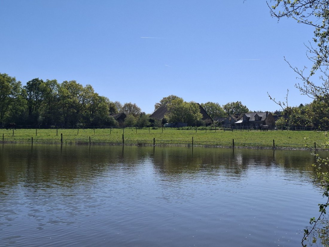 House in Riaille, Pays de la Loire, France 1 - 17635003