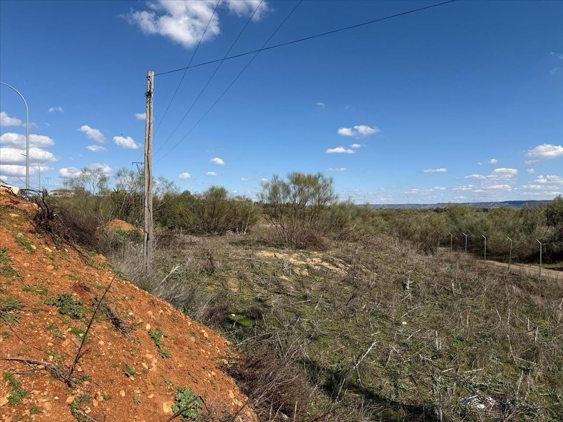 Land in Quer, Castile-La Mancha, Spain 5 - 15572403