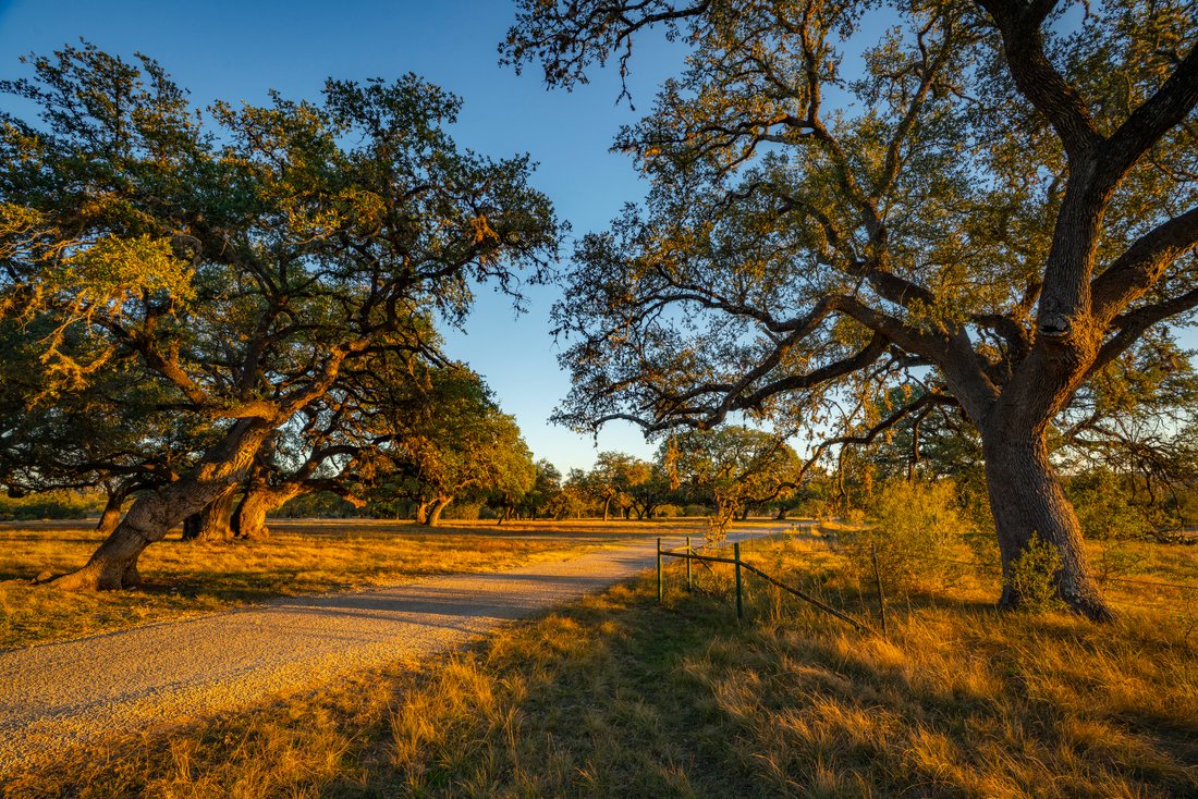 Farm Ranch in Bandera, Texas, United States 2 - 17639518