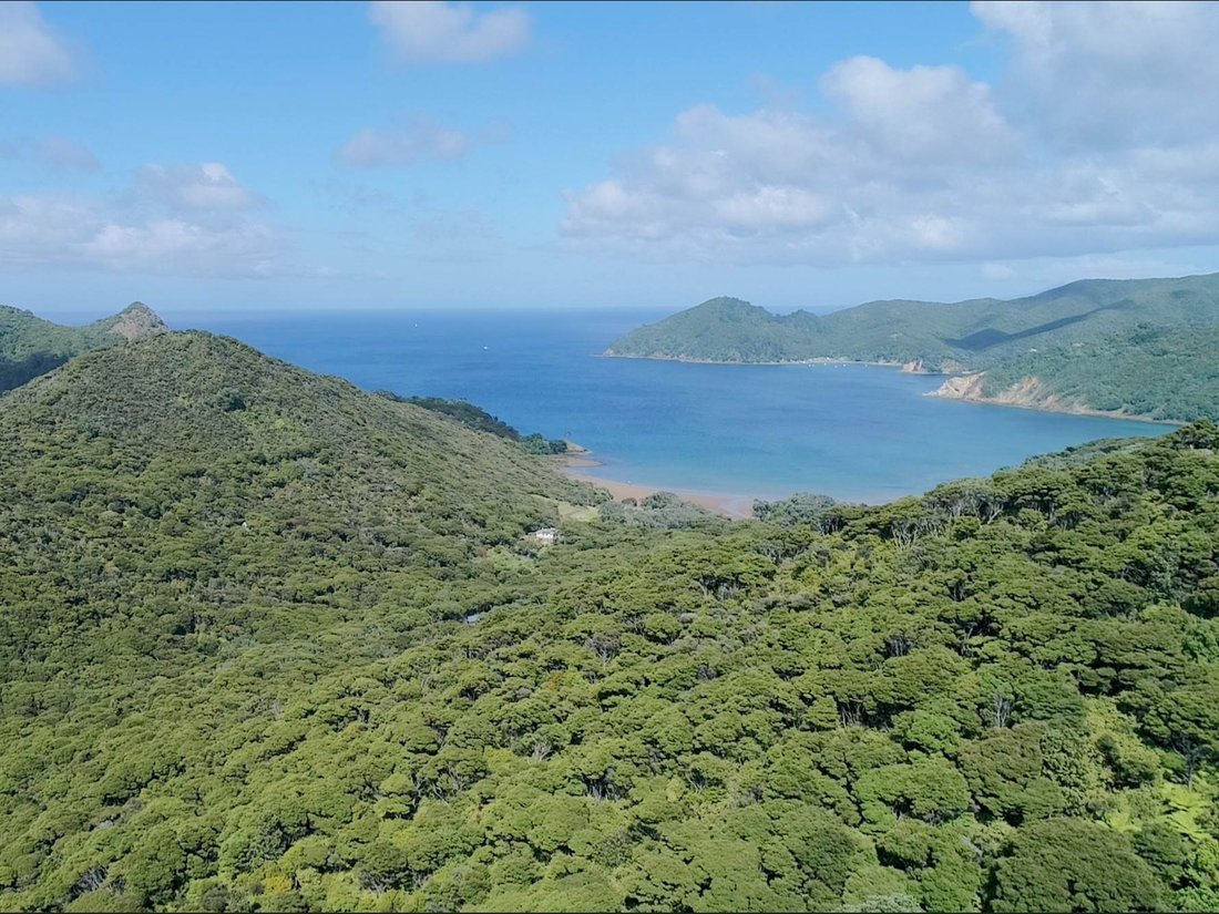 House in Great Barrier Island / Aotea, Auckland, New Zealand 3 - 17044733