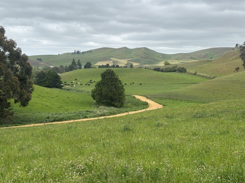 Country House in Waihao Downs, Canterbury, New Zealand 2 - 17638112