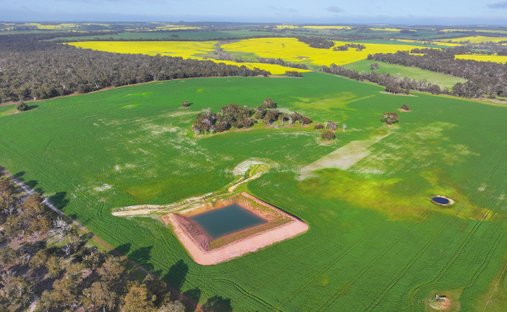 Country House in Frankland River, Western Australia, Australia 1