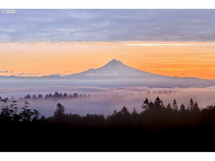 House in Portland, Oregon, United States 5 - 15957167