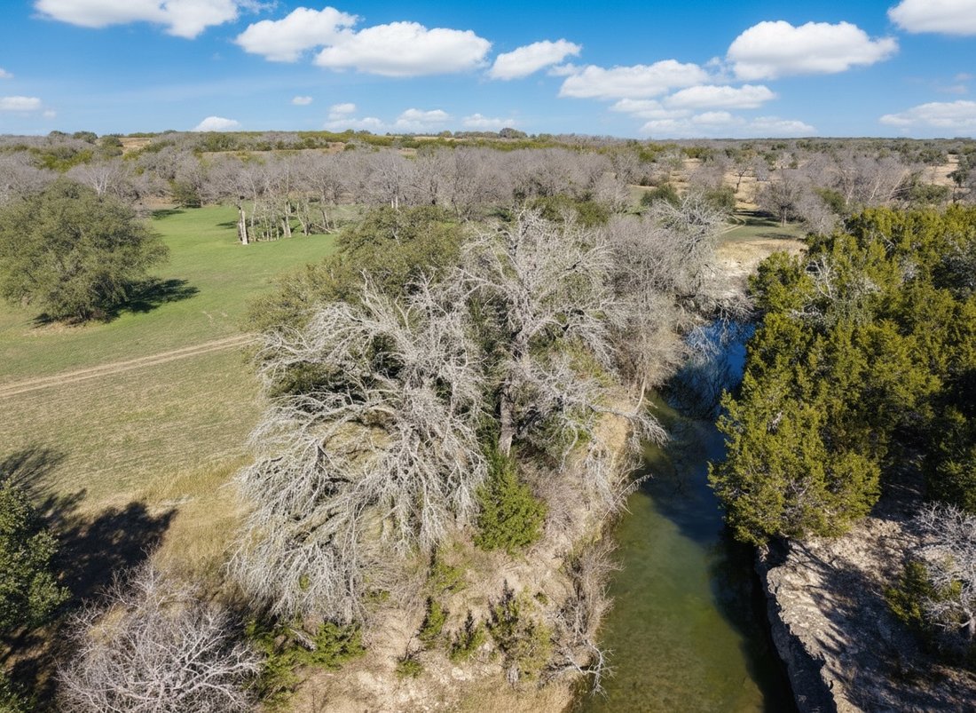 Farm Ranch in The Grove, Texas, United States 1 - 17640435
