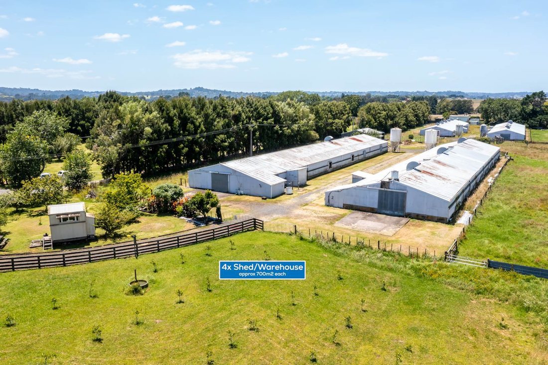 House in Auckland, Auckland, New Zealand 3 - 17044744