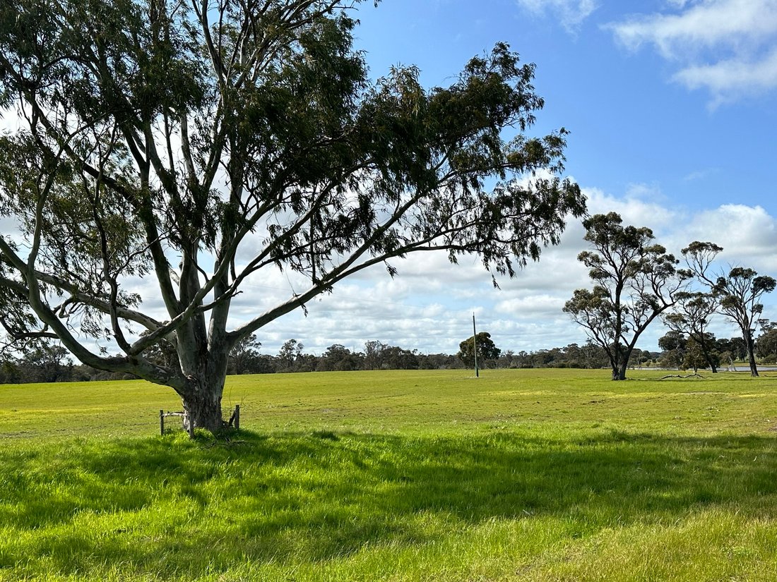 Country House in Frankland River, Western Australia, Australia 5 - 17635933