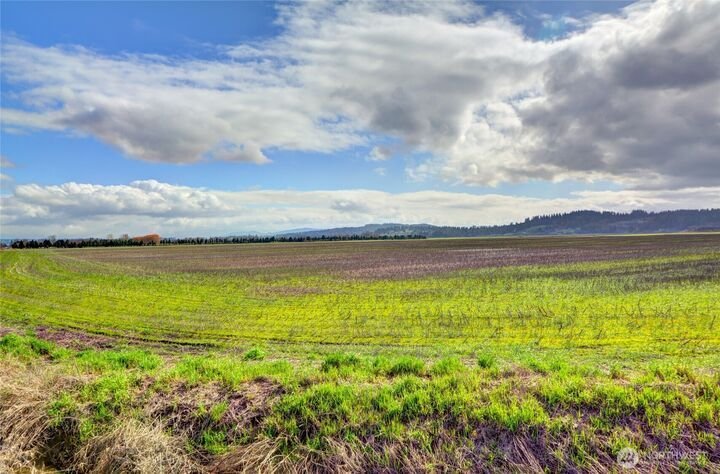 Land in Snohomish, Washington, United States 4 - 17644071