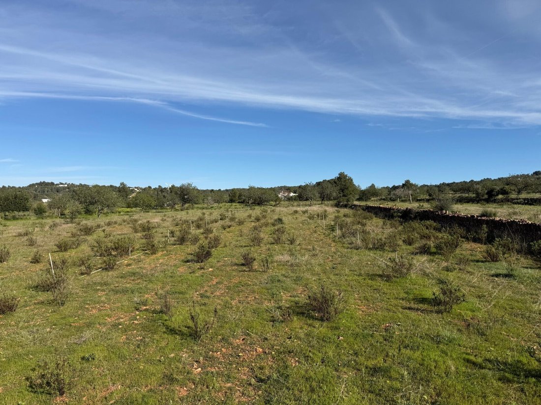 Land in Sant Rafel de sa Creu, Sant Antoni de Portmany, Balearic Islands 3 - 17630019