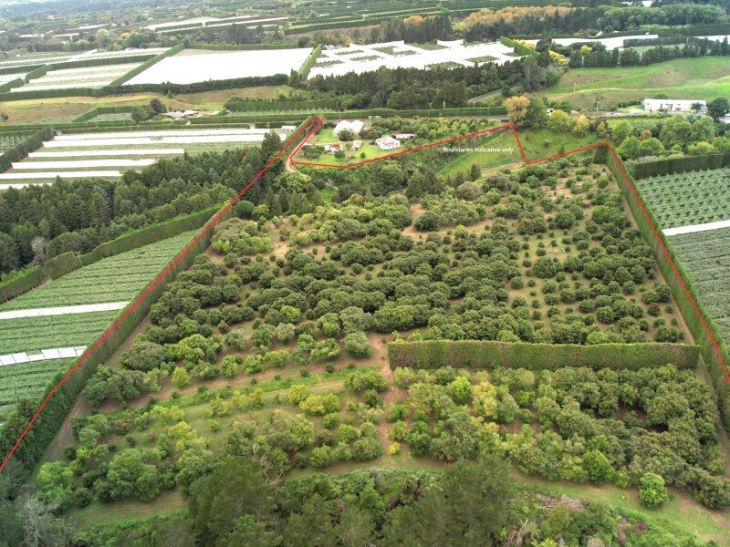 Country House in Te Puke, Bay of Plenty, New Zealand 1 - 17637523