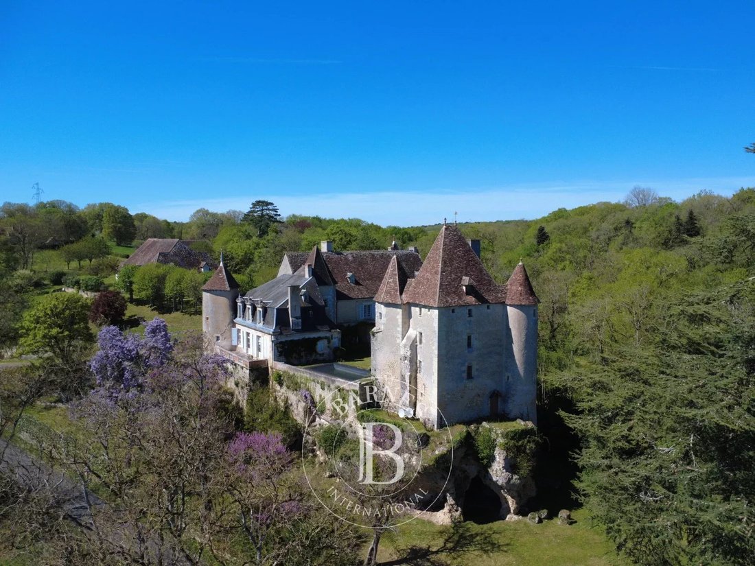 Castle in Châtellerault, Nouvelle-Aquitaine, France 5 - 17131465