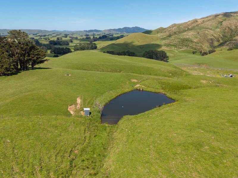 Country House in Eketāhuna, Manawatu-Wanganui, New Zealand 2 - 17639030