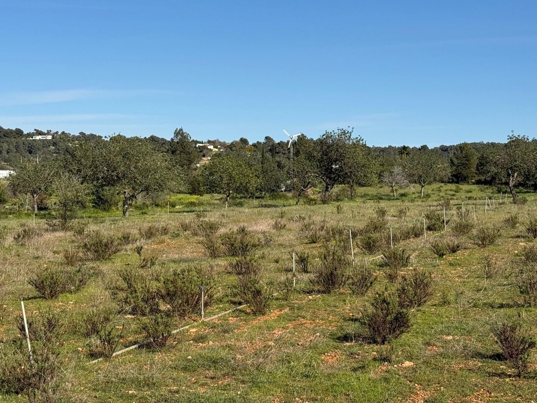 Land in Sant Rafel de sa Creu, Sant Antoni de Portmany, Balearic Islands 2 - 17630019