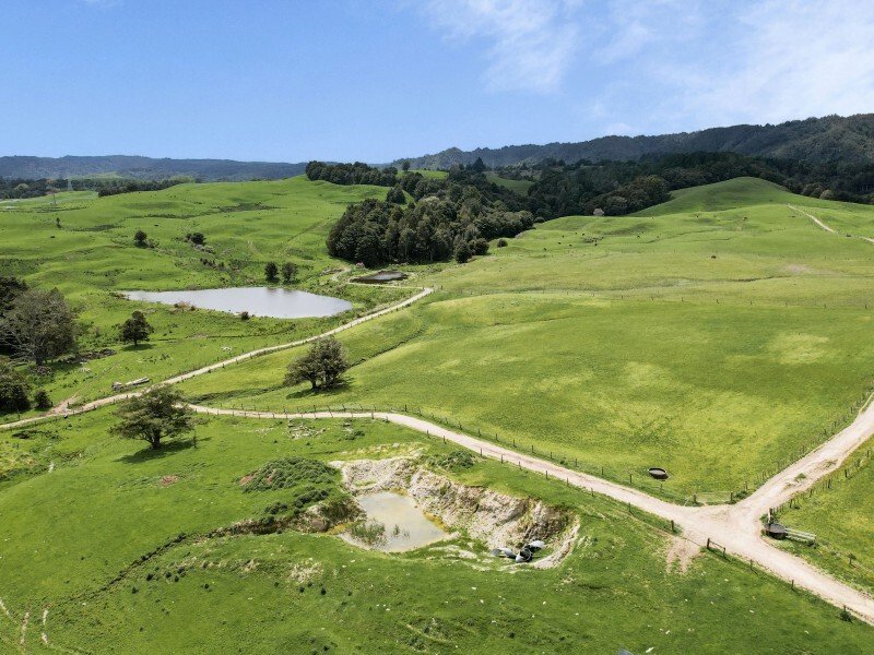 Country House in Taipuha, Northland, New Zealand 4 - 17637627