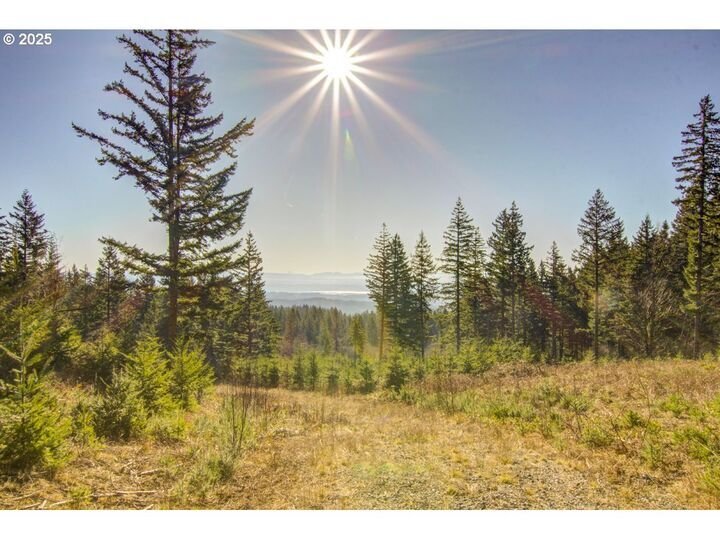 House in Camas, Washington, United States 3 - 17635464