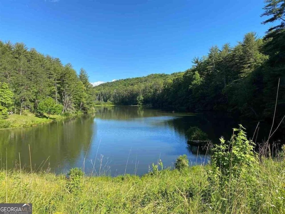 Land in Clarkesville, Georgia, United States 1 - 17635745