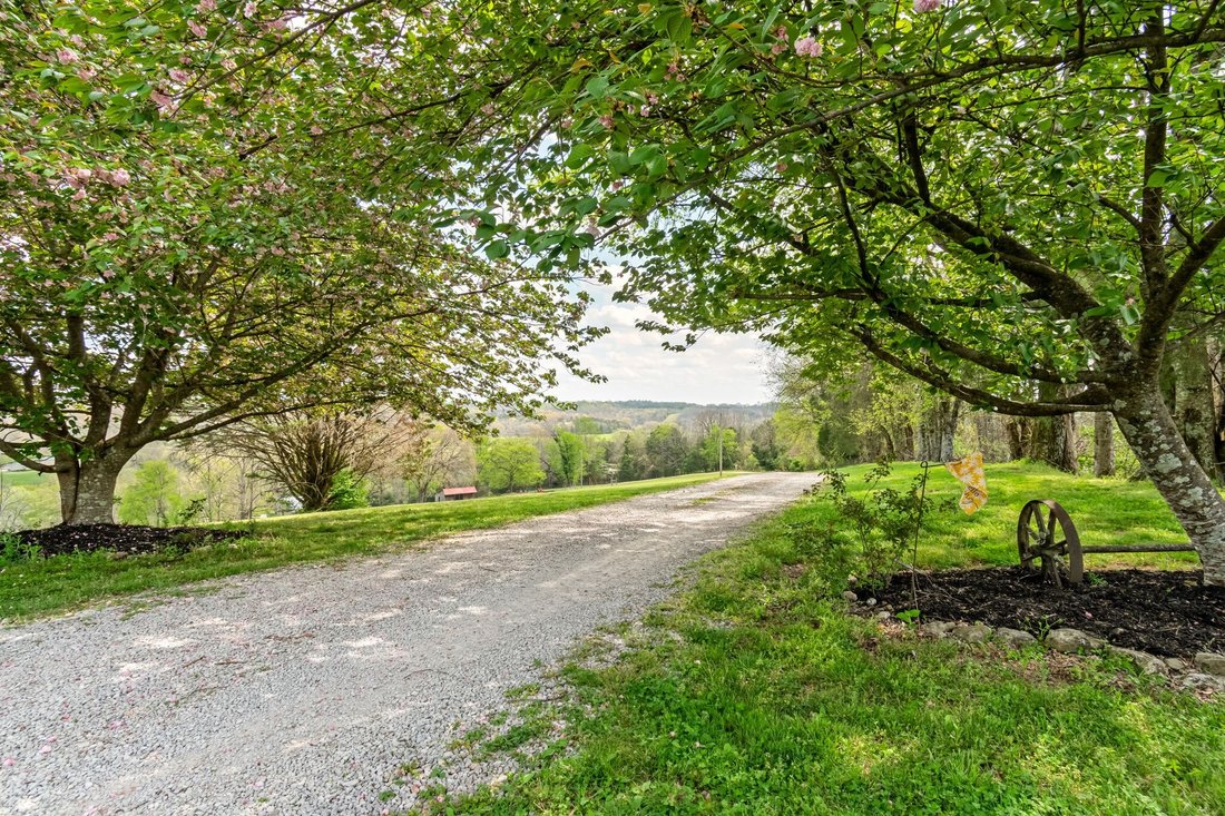 House in Williamsport, Tennessee, United States 5 - 17639221