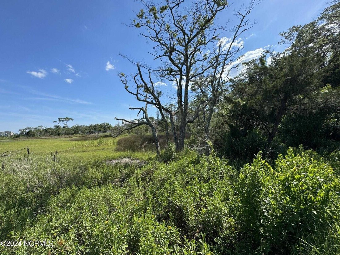 Land in Porters Neck, North Carolina, United States 3 - 14333453