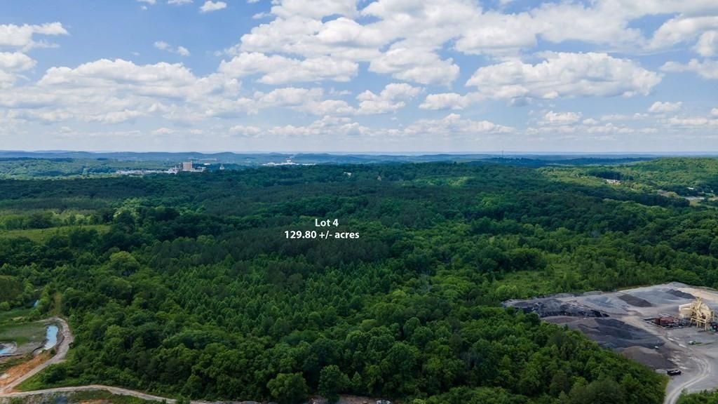 Land in Riceville, Tennessee, United States 5 - 12025823