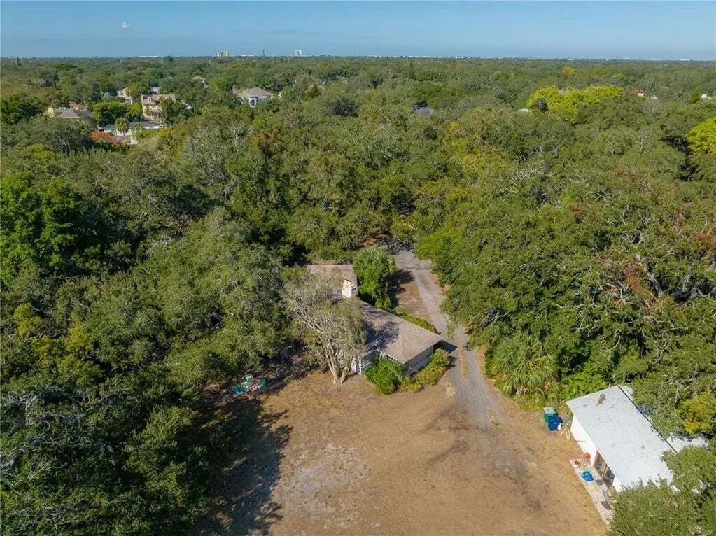 House in Tampa, Florida, United States 5 - 15896617