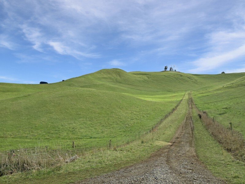 Country House in Windsor, Otago, New Zealand 3 - 17637484