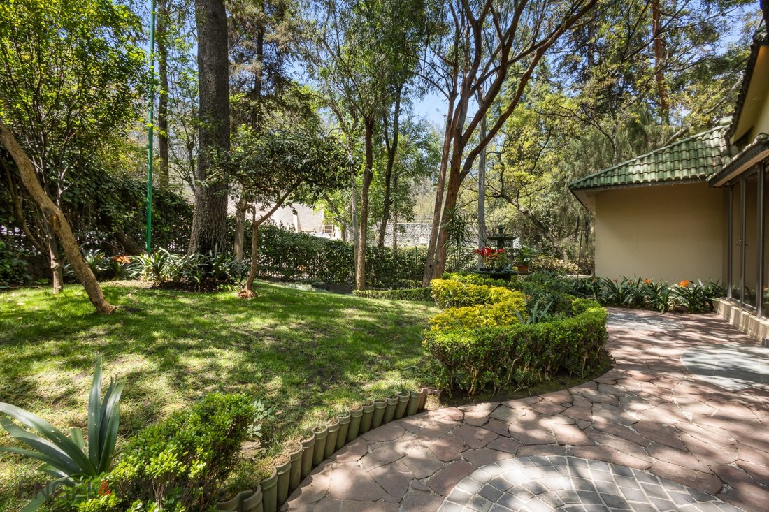House in Santa Catarina Yecahuitzotl, Mexico City, Mexico 5 - 17633241