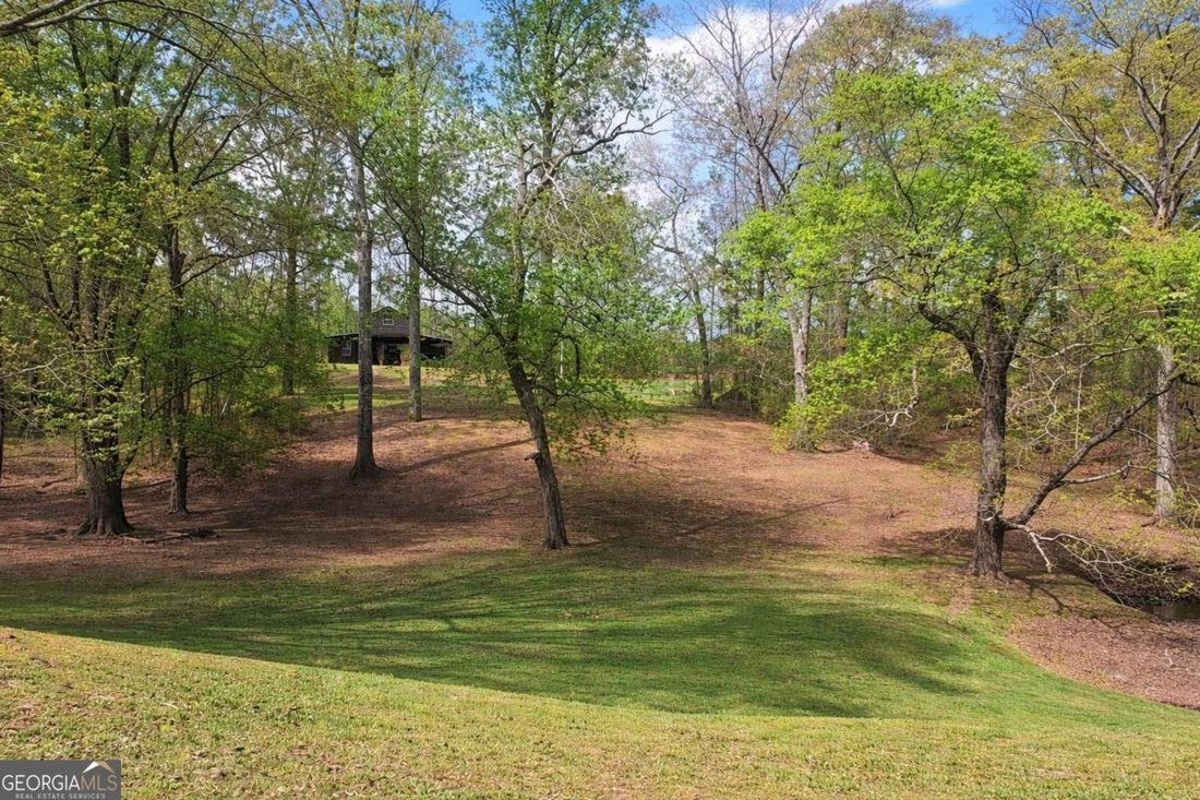 House in Buchanan, Georgia, United States 4 - 17633862