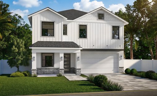 House in Tampa, Florida, United States 1