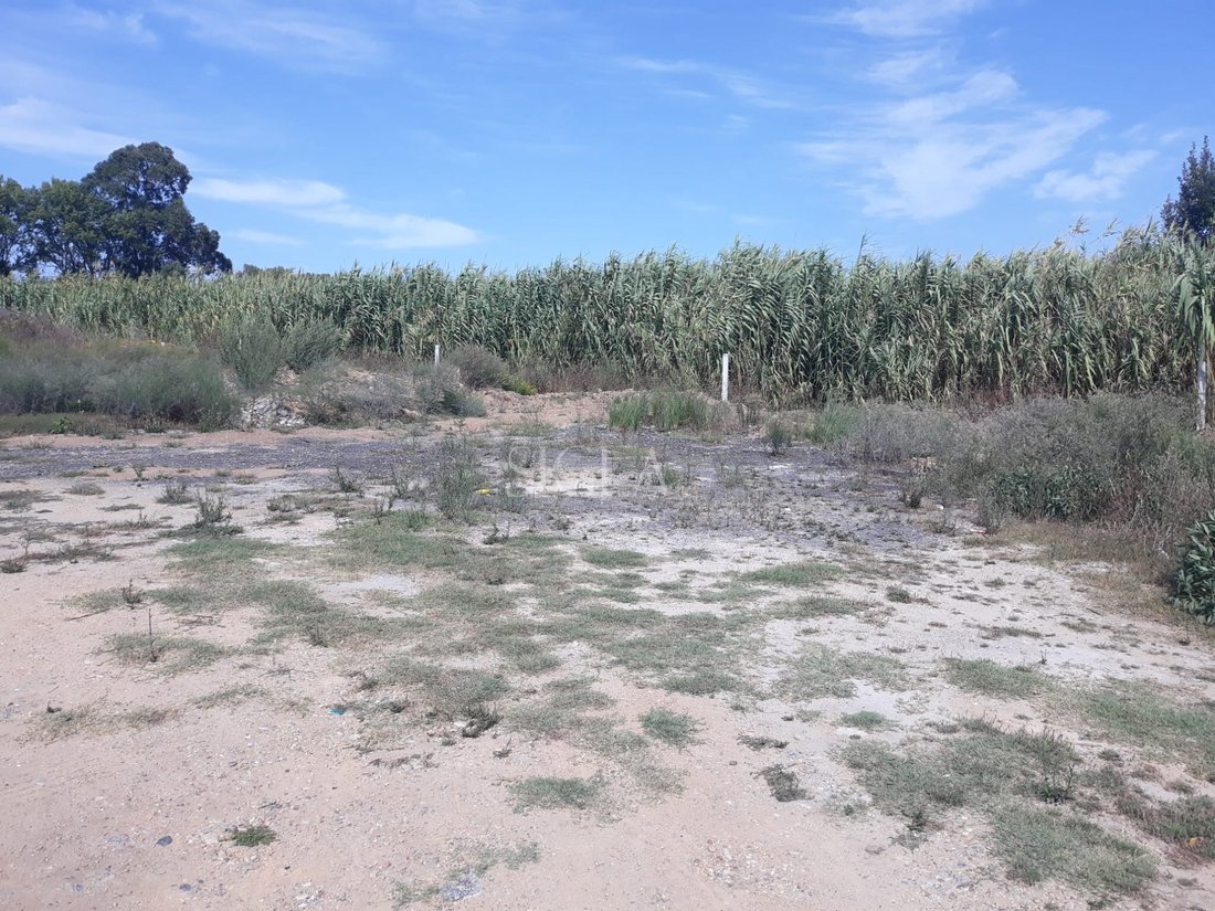 Land in Canidelo, Porto District, Portugal 2 - 15917288