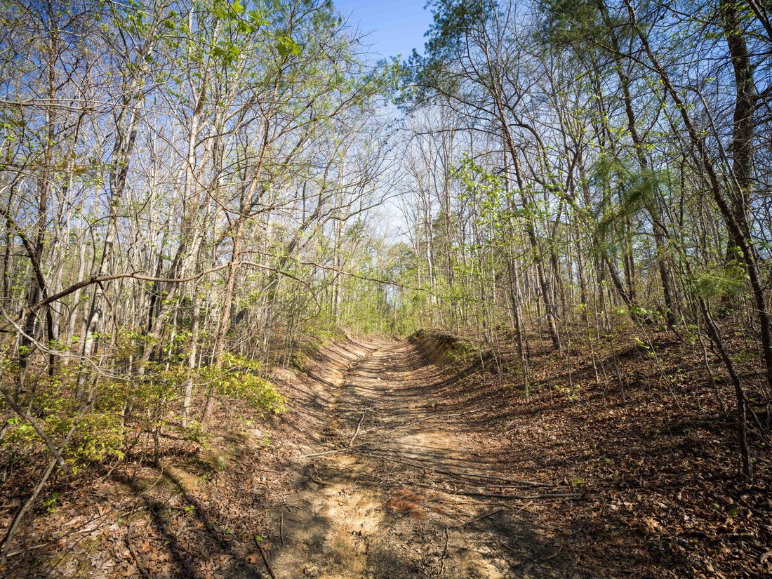 Land in Chattanooga, Tennessee, United States 3 - 17639672
