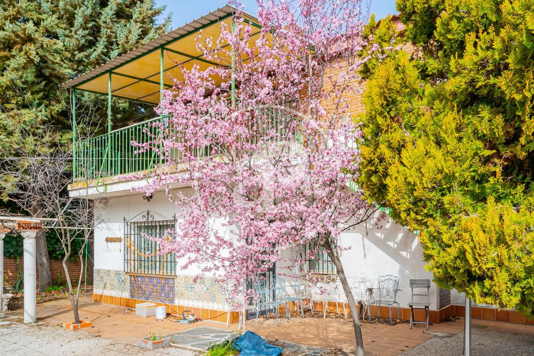 Villa in Arganzuela, Madrid, Spain 2 - 17641981