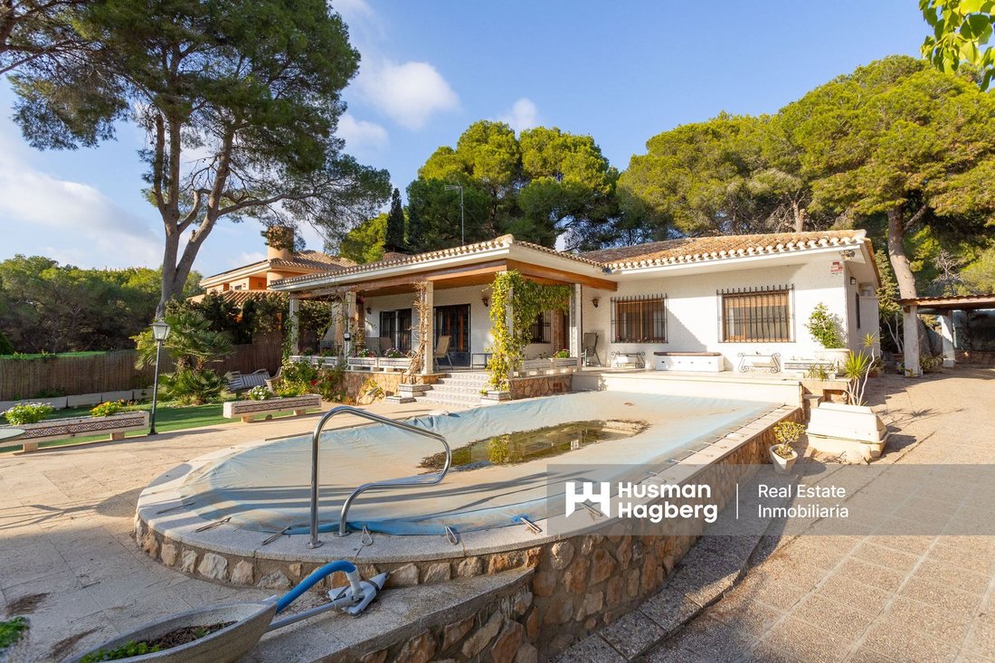 Villa in Orihuela, Valencian Community, Spain 5 - 13823170