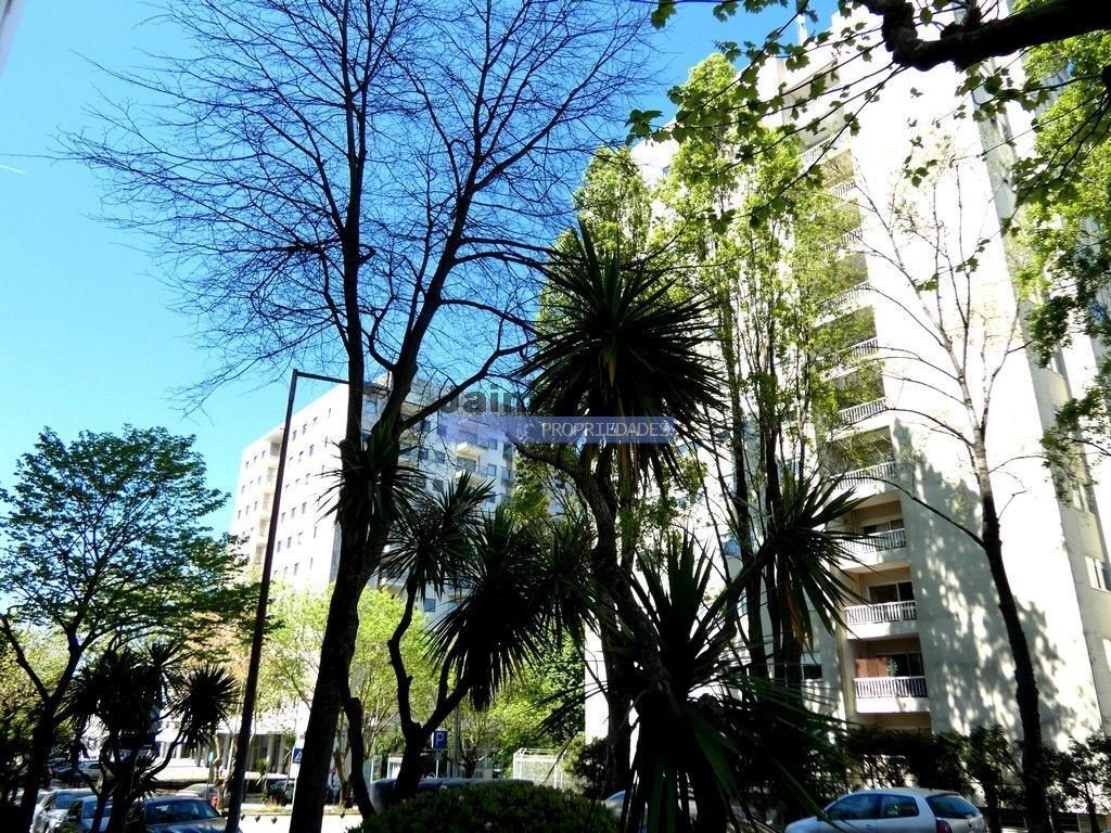 Apartment in Aldoar, Foz do Douro e Nevogilde, Porto District, Portugal 2 - 17640631