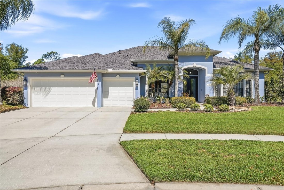 House in Wesley Chapel, Florida, United States 1 - 17640209