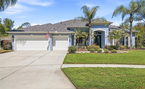 House in Wesley Chapel, Florida, United States 1