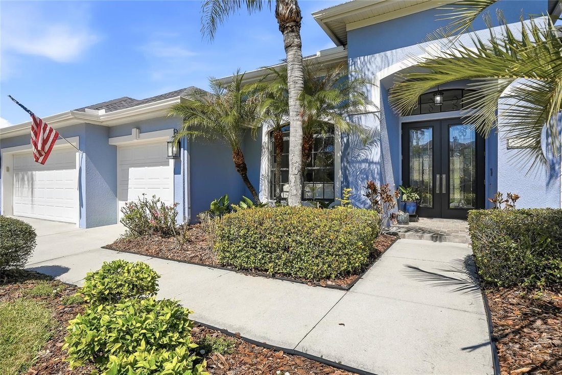 House in Wesley Chapel, Florida, United States 3 - 17640209