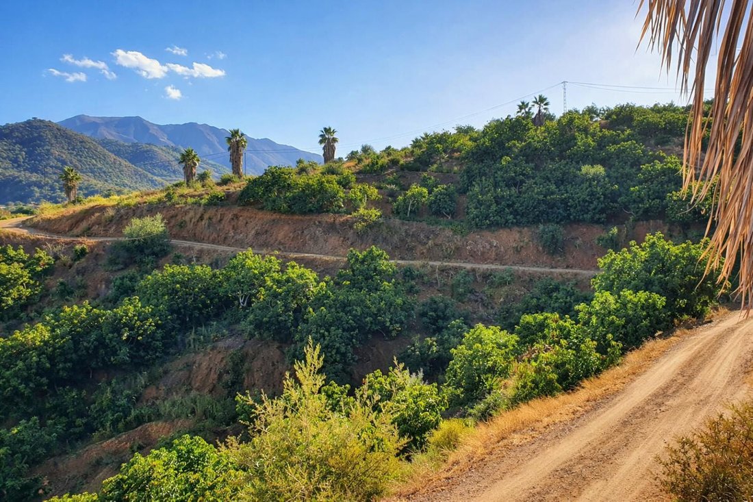 Finca in Guaro, Andalusia, Spain 4 - 17642862