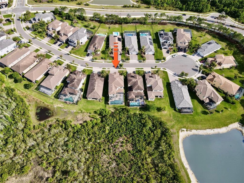 House in Zephyrhills, Florida, United States 4 - 17642731