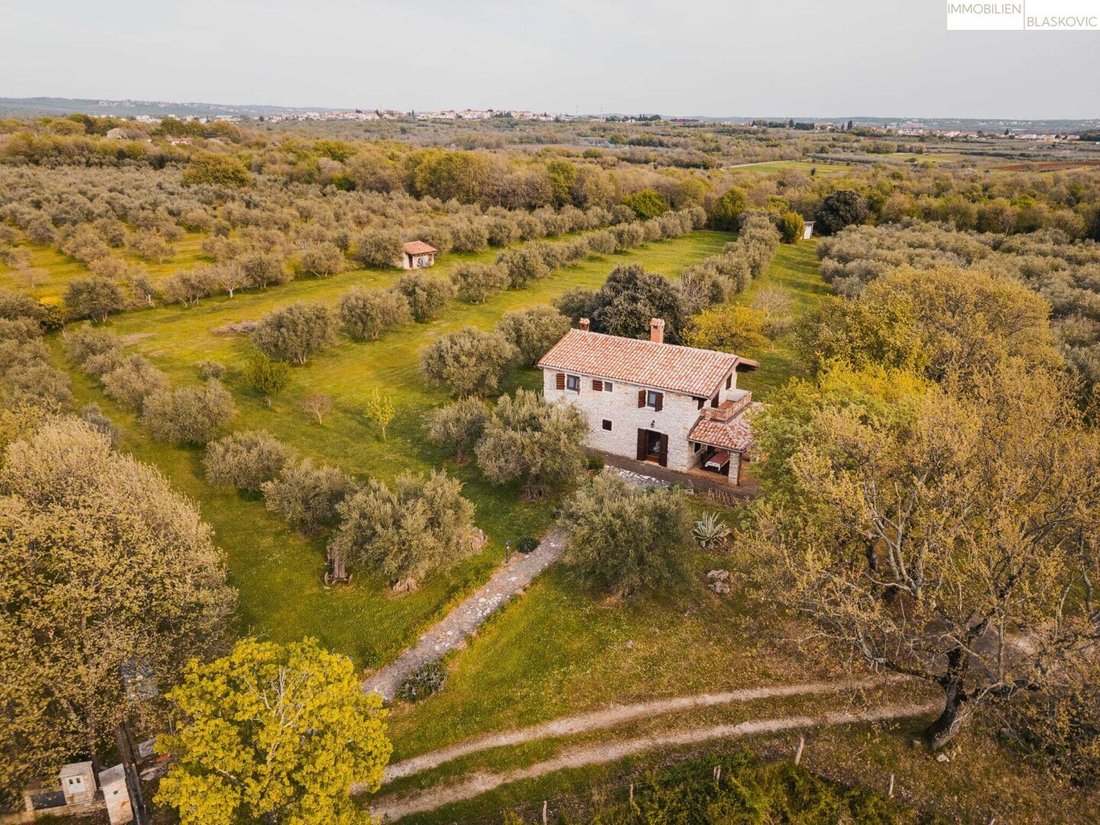 House in Musalez, Istria County, Croatia 1 - 16422849